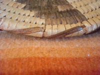 Native American Indian basket, a lovely Papago basketry tray with bats, c. 1930-40. Closeup photo of the rim of the Indian basket.