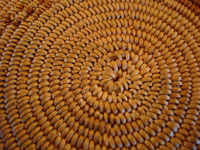 Closeup of bottom of Mission basket with rattlesnake.