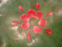 Mexican vintage folk art, a laquer-ware painted bowl, created from a gourd, from Chiapa de Curso, Chiapas, c. 1930. Closeup photo of the center flower on the base of the gourd.