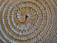 Closeup photo showing the bottom or start of the Chemehuevi olla.